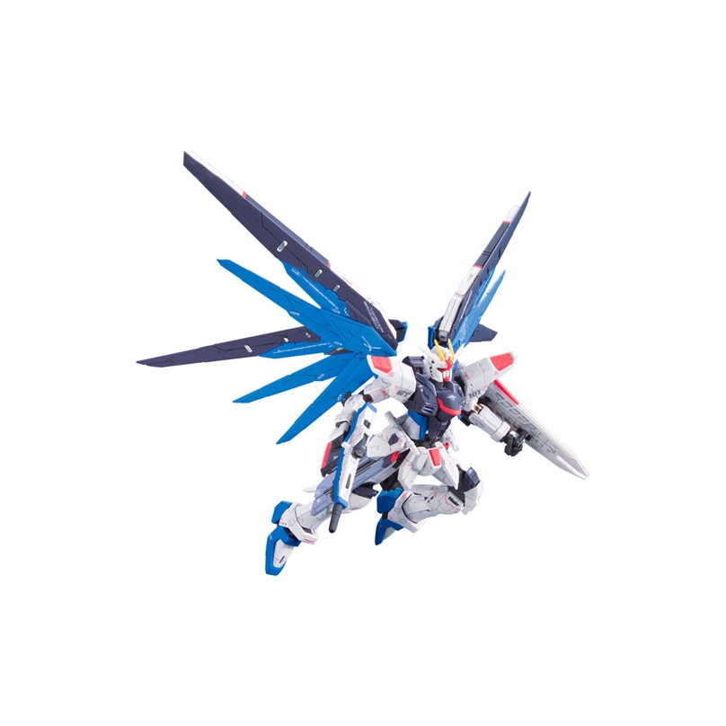 BANDAI Mobile Suit Gundam SEED - Bandai Model Gundam Rg review and price